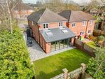 Thumbnail to rent in Winchester Road, Bishops Waltham