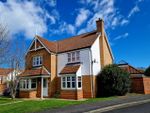 Thumbnail for sale in Greenbank Court, Serpentine Road, Hartlepool