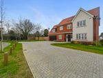 Thumbnail to rent in Apian Grove, Silver End, Witham