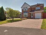 Thumbnail for sale in Carter Drive, Beverley