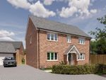 Thumbnail to rent in Shillingstone Lane, Okeford Fitzpaine, Blandford Forum