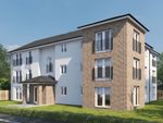 Thumbnail to rent in "The Nicol - Plot 48" at Lauder Grove, Lilybank Wynd, Off Glasgow Road, Ratho Station