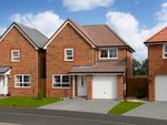 Thumbnail to rent in "Denby" at Nickleby Lane, Darlington