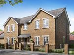 Thumbnail to rent in "The Hogarth" at Sterling Way, Shildon