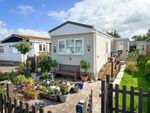 Thumbnail for sale in Greenlawns, St. Osyth Road East, Little Clacton