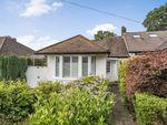 Thumbnail for sale in Andover Road, Orpington
