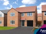 Thumbnail to rent in "The Darwood" at Husthwaite Road, Easingwold, York