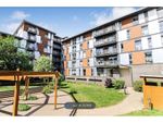 Thumbnail to rent in Page Court, Crawley