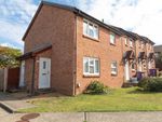Thumbnail to rent in Sanderling Close, Letchworth Garden City