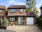 Thumbnail to rent in Eden Walk, Chandler's Ford, Eastleigh, Hampshire