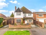 Thumbnail for sale in Broxbourne Road, Orpington, Kent