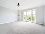 Thumbnail to rent in Brompton Close, Brighton