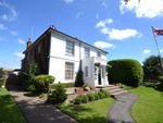 Thumbnail to rent in George Street, Hailsham