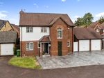 Thumbnail to rent in Chippendayle Drive, Maidstone