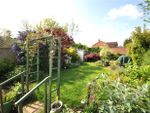 Thumbnail to rent in Whitstable Road, Canterbury, Kent