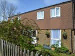 Thumbnail for sale in Buckwell Rise, Herstmonceux, Hailsham