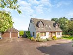 Thumbnail for sale in Morangie Road, Tain, Highland