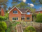 Thumbnail to rent in Shadyhanger, Godalming, Surrey