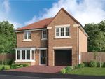 Thumbnail to rent in "The Maplewood" at Off Durham Lane, Eaglescliffe