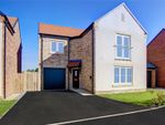 Thumbnail to rent in The Chestnut, Plot 17, Middleton Waters