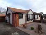 Thumbnail for sale in Springfield Court, Forres