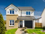 Thumbnail for sale in "The Douglas - Plot 126" at Carmuirs Drive, Newarthill, Motherwell