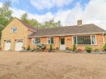 Thumbnail for sale in Squires Hill, Marham, King's Lynn, Norfolk