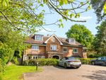 Thumbnail for sale in Park Lane East, Reigate