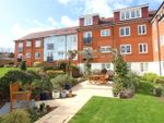 Thumbnail to rent in North Close, Lymington