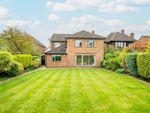 Thumbnail to rent in Abbey Avenue, St. Albans, Hertfordshire