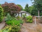 Thumbnail for sale in Golf Course Road, Pitlochry