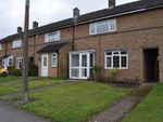 Thumbnail to rent in East Park, Old Harlow, Essex