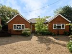 Thumbnail for sale in Chobham, Surrey