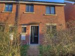 Thumbnail to rent in Cecil Sparkes Walk, Costessey, Norwich