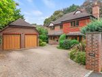 Thumbnail to rent in Maple Grove, Bookham, Surrey