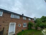 Thumbnail to rent in Hall Grove, Welwyn Garden City