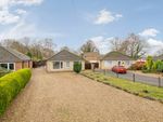 Thumbnail for sale in Hamilton Grove, Skellingthorpe, Lincoln, Lincolnshire