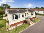 Thumbnail for sale in Maple Avenue, New Park, Bovey Tracey, Newton Abbot