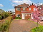 Thumbnail to rent in Mount Pleasant Lane, Bricket Wood, St.Albans