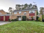 Thumbnail for sale in Roundway Close, Camberley, Surrey