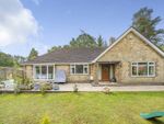 Thumbnail to rent in Newhouse Lane, Pulborough, West Sussex
