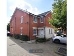 Thumbnail to rent in Ruskin Grove, Bristol