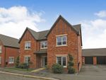 Thumbnail to rent in Buttercup Drive, Danetre Place, Daventry