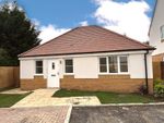 Thumbnail to rent in Harborough Road North, Kingsthorpe, Northampton