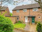 Thumbnail for sale in Maynard Drive, St. Albans, Hertfordshire