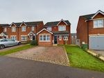 Thumbnail to rent in Clayton Ley Close, Alfreton