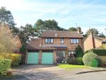 Thumbnail for sale in Prince William Close, Findon Valley, Worthing, West Sussex