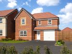 Thumbnail to rent in "Hale" at Whalley Road, Barrow, Clitheroe