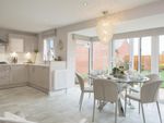 Thumbnail to rent in "Exeter" at Meadowsweet Avenue, Stafford