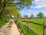 Thumbnail for sale in Harbolets Road, West Chiltington, Pulborough, West Sussex